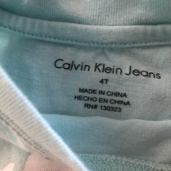 Polo Ralph Lauren/Calvin Klein Tees 4T - Picture 5 of 7